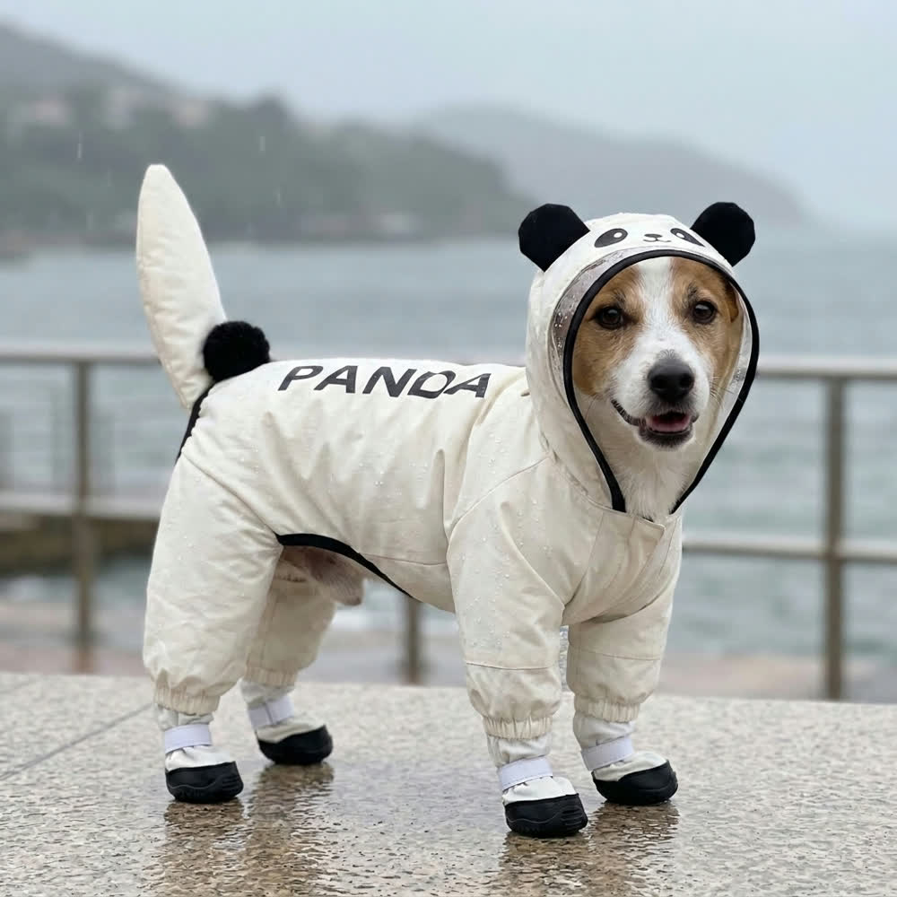 Seaside drizzle, no problem.
